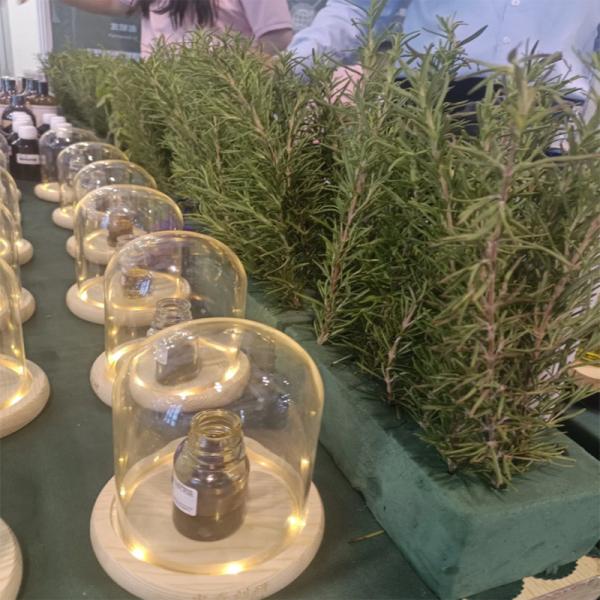 Floral And Slightly Musky Selena Fragrance Oil Essence