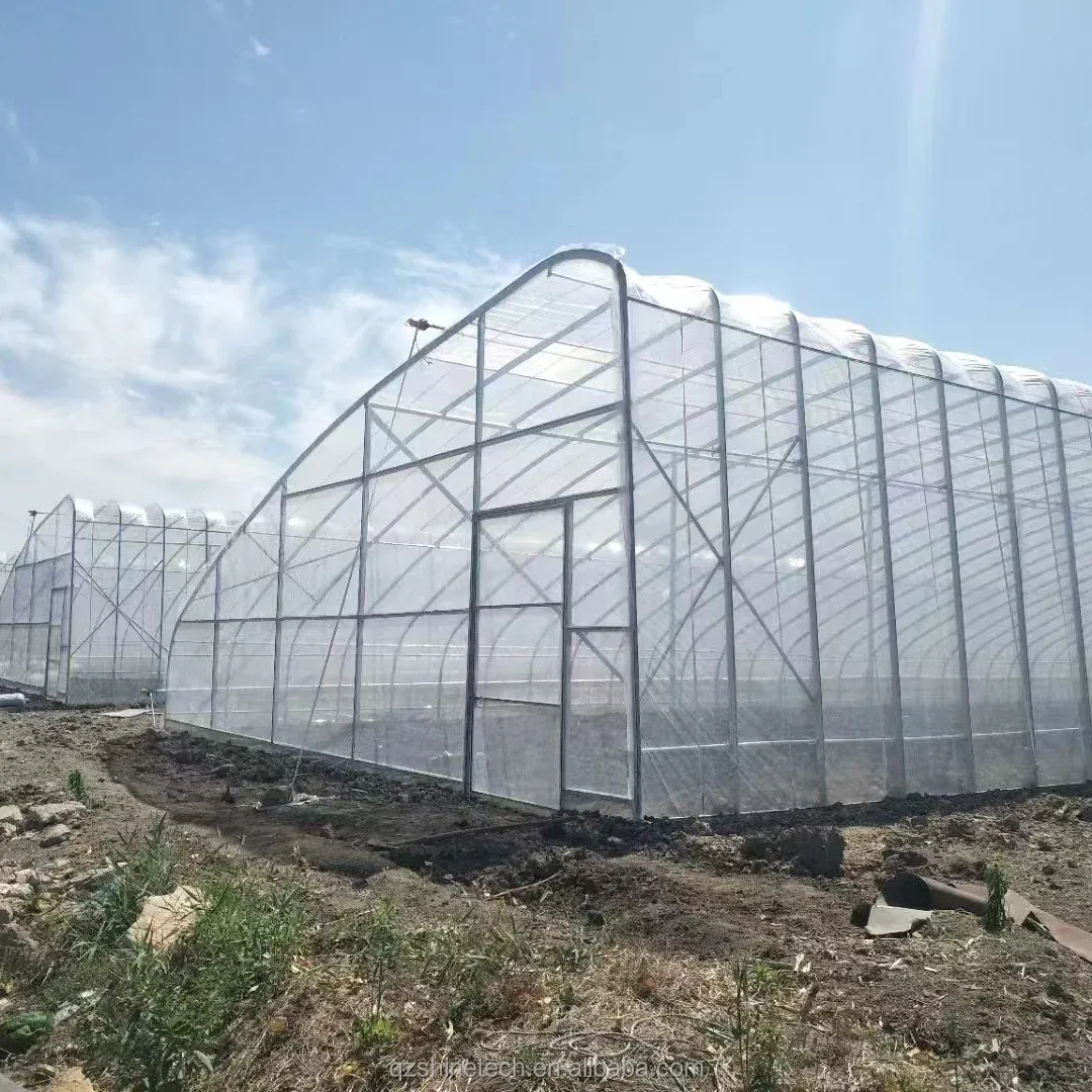 Easy Assembled Solar Greenhouse for Cold Winter Climates PE Material and PE Material