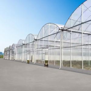 Quality Agricultural Farm Multispan Polycarbonate Panels Greenhouse with Shading System for sale