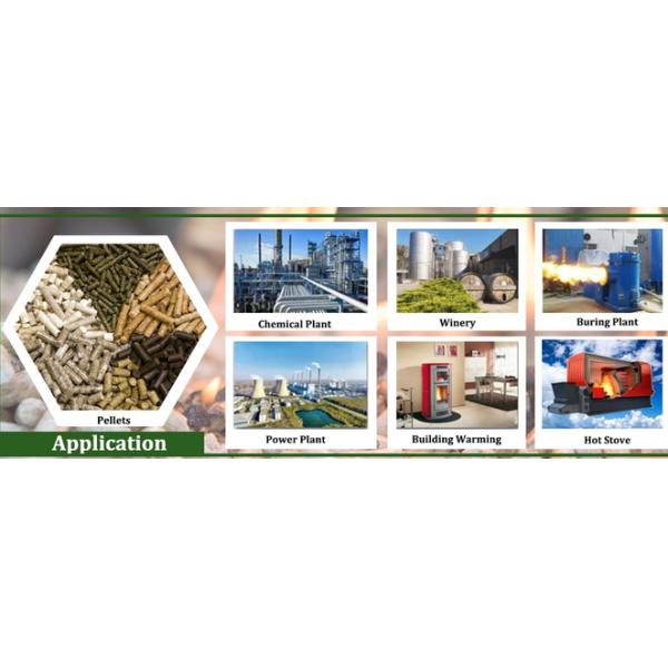 200kw 2 Rollers Flat Die Pellet Mill Manufacture for Wood Pellet Making