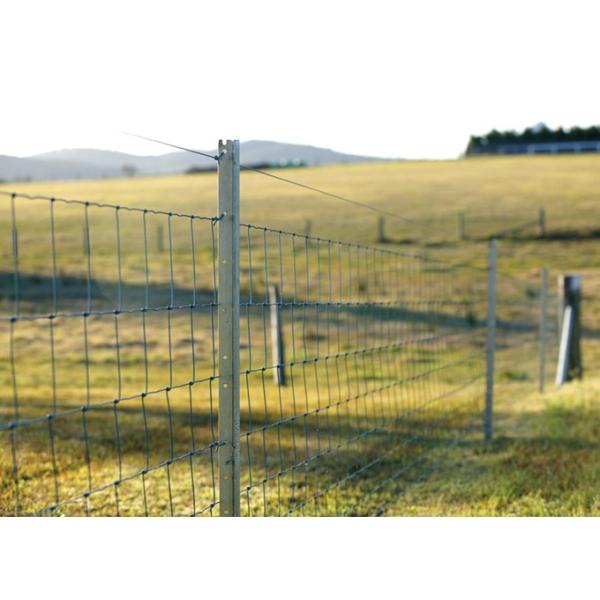164 ft Galvanized Iron Wire Mesh Fence Field Wild Animal Garden Fencing Roll
