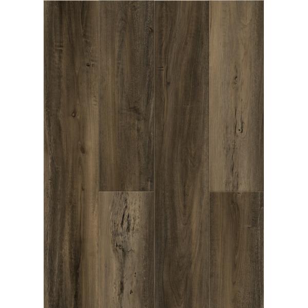 4mm Stone Plastic Composite Flooring Eco Friendly Unilin Click Oak Burlywood Wood Grain GKBM DG-W50001B