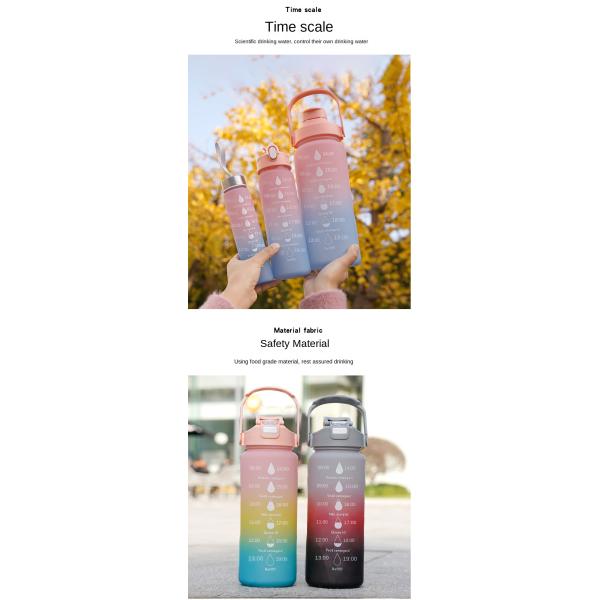 Humanized Design 550/750/1000ML Portable Plastic Water Bottle 1 Litre Gradient Color Custom Gym Water Bottles Bisphenol And Toxin Free OEM ODM