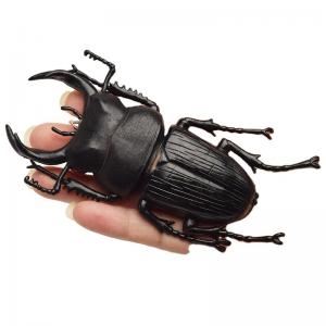 Quality Lifelike Model Simulation Insect Toy Nursery Teaching Aids Joke Toys For Kids for sale