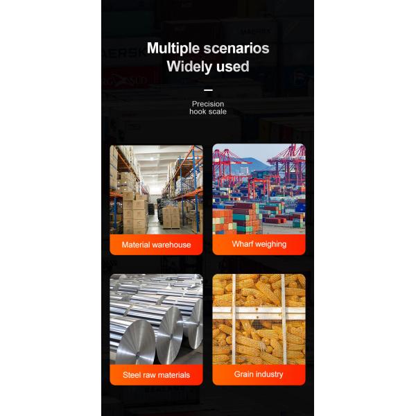 Blue Aluminum Alloy Stainless Steel Precision Hanging Crane Weighing Scale 100kg 300kg 500kg 1000kg 1t With OIML Approval