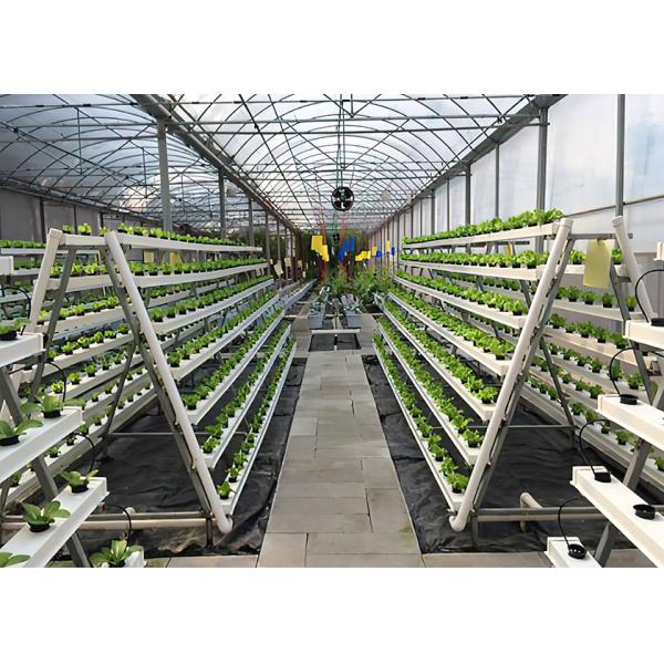Easy Maintenance Nutrient Film Technique System With Strong Adaptability