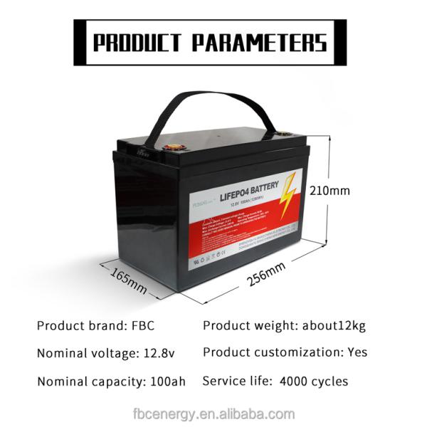 BMS 100AH 12V 24V Battery Lifepo4 Battery Rechargeable RV Solar Battery Li Ion