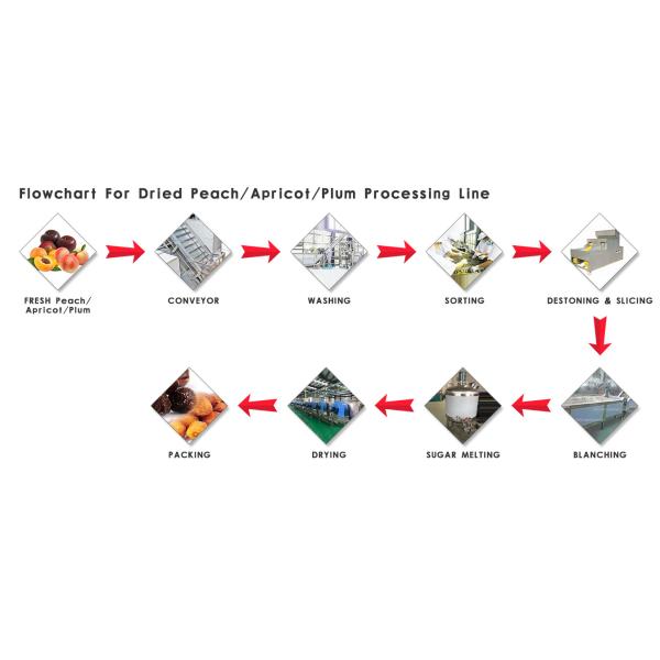 Durable Dried Fruit Processing Plant Dried Fruit Dehydrator Customized Voltage