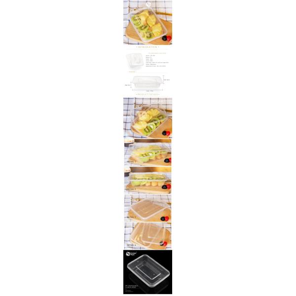 Eco friendly PP disposable plastic food container clear lunch box with lids