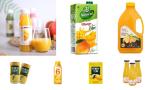 High Efficiency Mango Juice Processing Machine With Safety Protection Processing