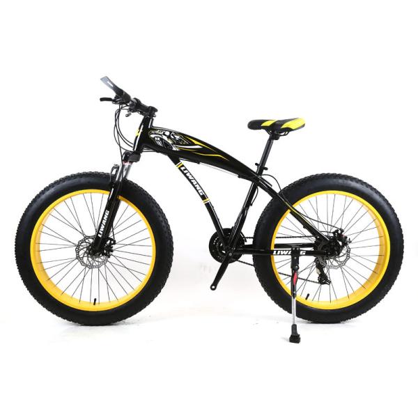 Adult Customized Mountain Cruiser Bicycle Fat Tire Mountain Bikes with 4.0 inch Tire Width and carbon steel Fork Material