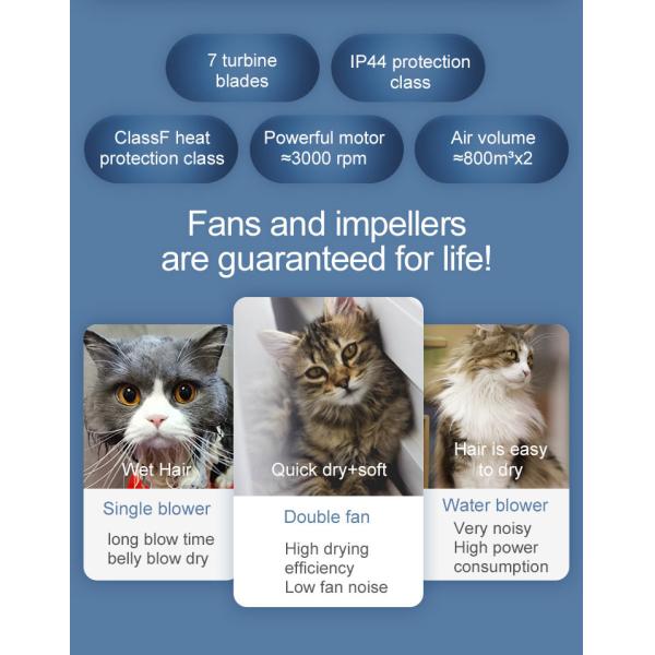 220V 1650W PET Drying Room Spa Care , Low Noise Pet Hair Dryer Box