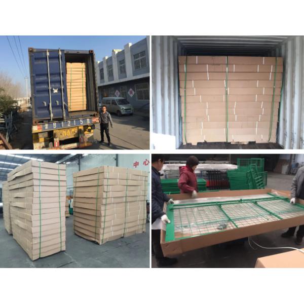 Two Door Animal Trap Cage 2.2M Collapsible Large Wild Animal Cage For Boar Wolf Fox