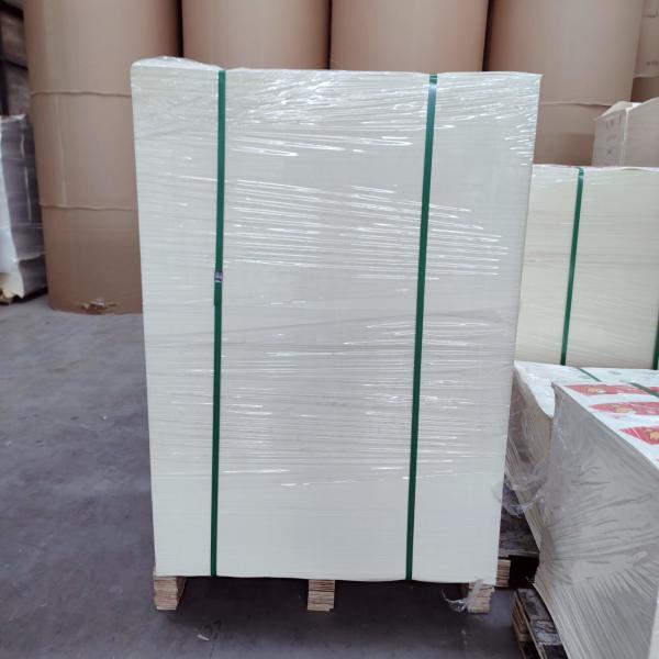 Custom Food Grade Packaging Material Oilproof And Waterproof PE Coating Paper Sheet