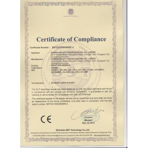 Dongguan City Chuhe Electric Co., Limited Certifications