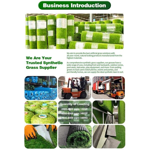 China Bright (Chongqing) Power Machinery Co., Ltd. company profile 5