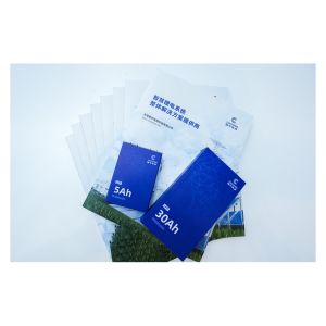 Quality Rechargeable Lithium Polymer Battery 3.2v Lithium Ion Battery Cell Pack for sale