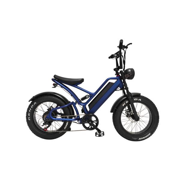 E-bike Fat Tire 48V10Ah Lithium Battery Speed 500W Brushless Spoke Motor For Snowmobiles