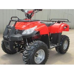 Quality 500w/800w/1000w Electric Quad Bike for sale