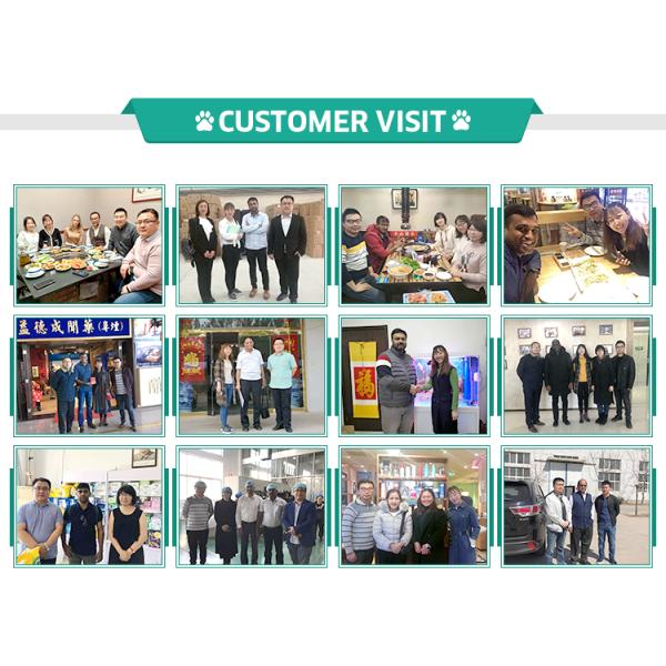 Pet Custom Printed Dog Poop Bags Plastic Biodegradable Eco Friendly