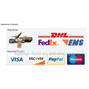 CAS:51446-62-9 soybean extract Phosphatidylserine 60%