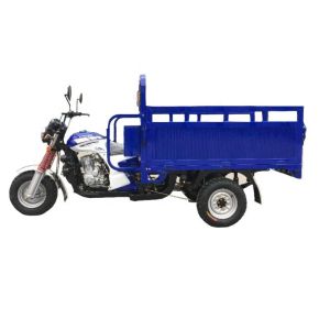 Quality Petrol Three Wheeler 150cc 175cc Loading Tricycle Rickshaw for sale