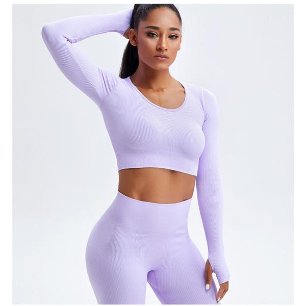 Stretchable Female Yoga Set Clothes Seamless Running Ribbed Crop Top Leggings