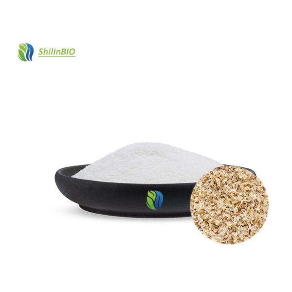 Buy Psyllium Husk Powder Bulk 98% Dietary Fiber at wholesale prices