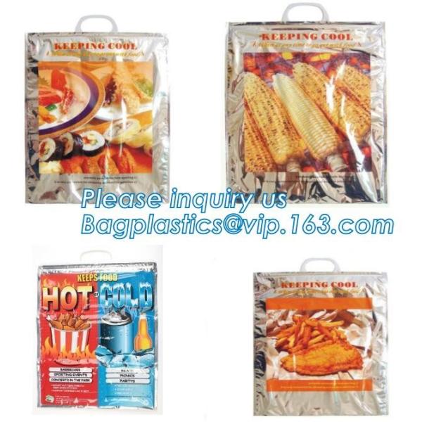 Foldable Lunch Insulated Cooler Bag Heated Food Delivery Bag Thermal Pizza Delivery Cooler Bag