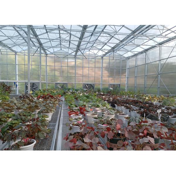 High Transparency & Durable PC Material, Spacious Interior PC Greenhouse - Ideal For Year Round Plant Cultivation