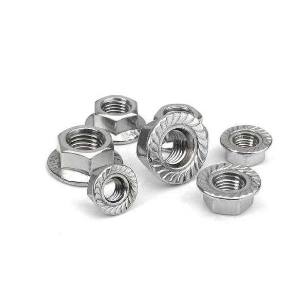 FN Stainless Steel Flange Nut 3/8-16 HDG Flange Nut Bolt
