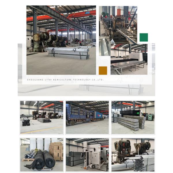 3m High Agricultural Poly Tunnel Greenhouse Transparent Colour Customizable Height