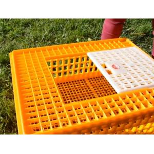 Poultry Broiler Quail Pigeon Plastic Chicken Transport Cages