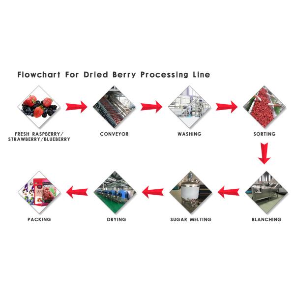 Durable Dried Fruit Processing Plant Dried Fruit Dehydrator Customized Voltage