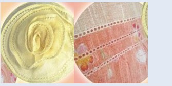 Double Needle Hemstitch Picoting Sewing Machine with Puller and Cutter FX1725