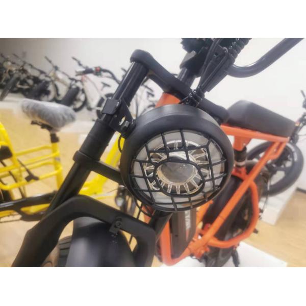 Custom 48V 1000W Electric Bike 20 Inch Fat Tire Ebike With And 52V Lithium Battery Charger