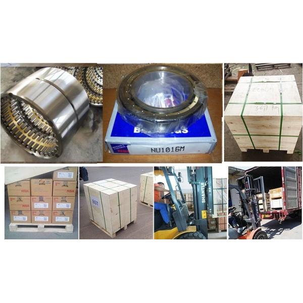 Four Row Cylindrical Roller Bearings Rolling Mill Bearing 880RXK3364A