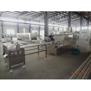 Custom Pasta Manufacturing Machine , Big Capacity Industrial Pasta Making