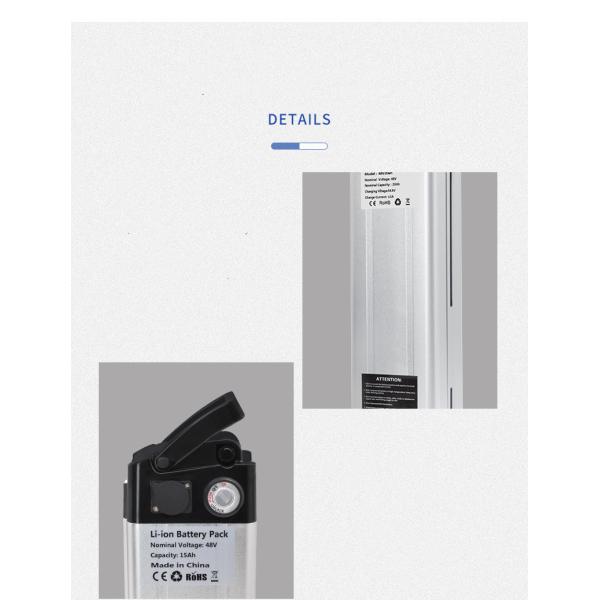 High Quality Silver Fish Battery 48V 20ah Lithium Ion E-Bike Battery for 1000W Electric Bike