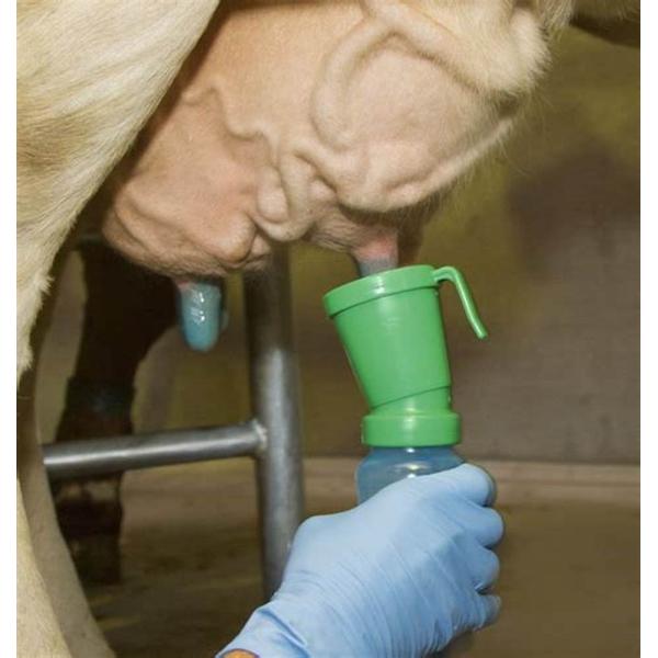 The Teat Dip Cup Your Essential Tool for Maintaining Animal Teat Hygiene