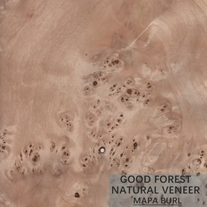Quality Tree Burl Wood Veneer Natural White Poplar Veneer Sheets Excellent for sale