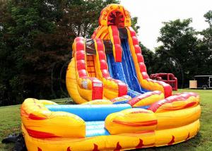 Quality Outdoor Giant Inflatable Slide Moonwalk Water Slide For Amusement Park for sale