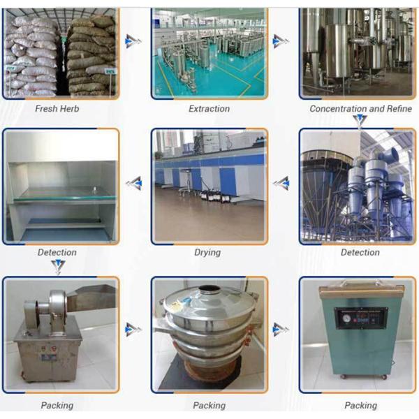 Cranberry Extract 30%-50% Proanthocyanidin