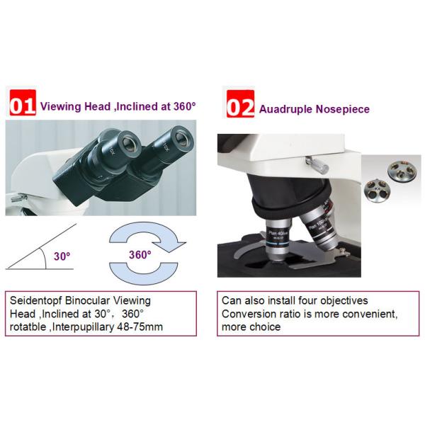 Double Layer Mechanical Stage Inverted Fluorescence Microscope 230×150mm NCH-B2000