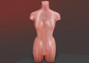 China Bespoke Eco-Friendly PLA Female Torso Mannequin Design and 3D Printing Rapid Prototyping Service on sale