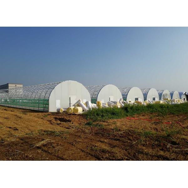 7-10 Meter Width Outdoor Mushroom Greenhouse With Insulating Blanket