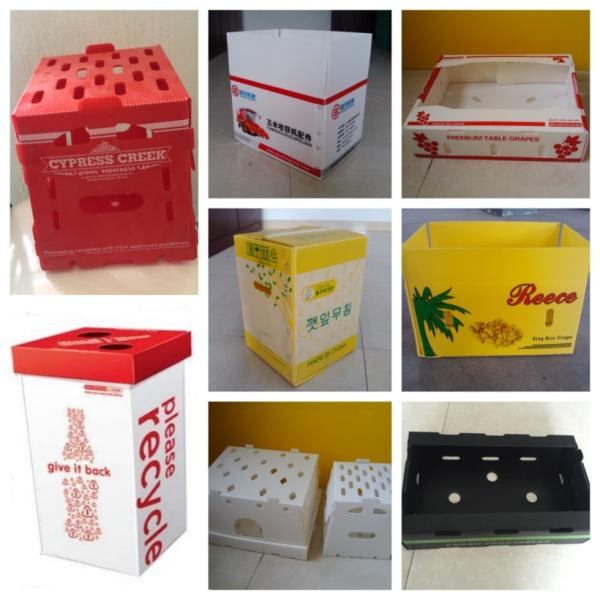4.5mm 5.5mm Corrugated Plastic Packing Box Fish PP Corrugated Bin