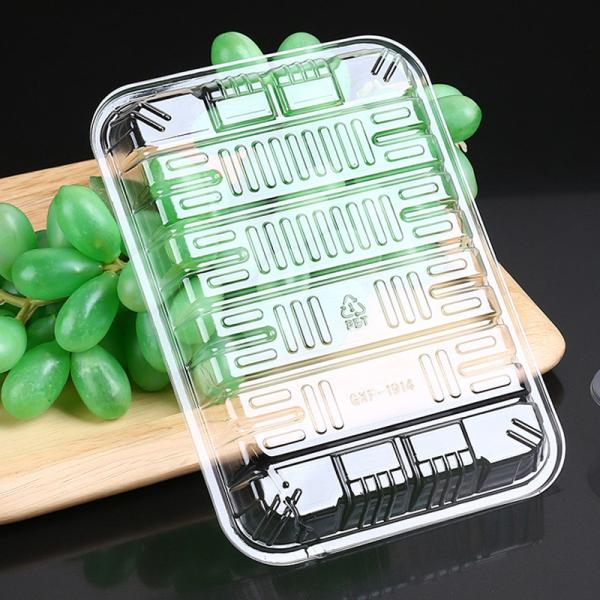 Custom PET Plastic Blister Tray Pallet For Food Fruits Box Packaging Transparent