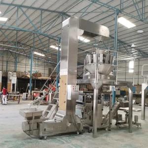 Automatically Single SGS Industrial Bucket Elevators For Packing Line