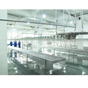 stainless steel Poultry Slaughterhouse Equipment automatic For Meat Processing